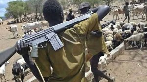 Fulani-Herdsmen