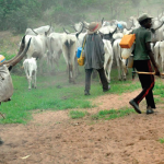 Herdsmen NASARAWA killings