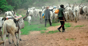 Herdsmen NASARAWA killings