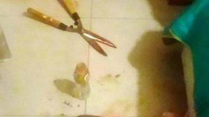 cut
