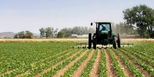agric
