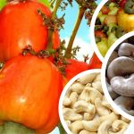 300×250-cashew