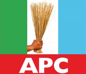APC PARTY ONDO