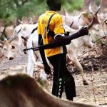 VILLAGE – LOGO – BENUE – KILLINGS