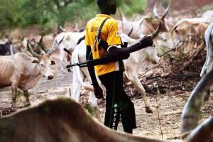 VILLAGE – LOGO – BENUE – KILLINGS