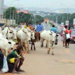 Herdsmen