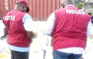NDLEA-officials