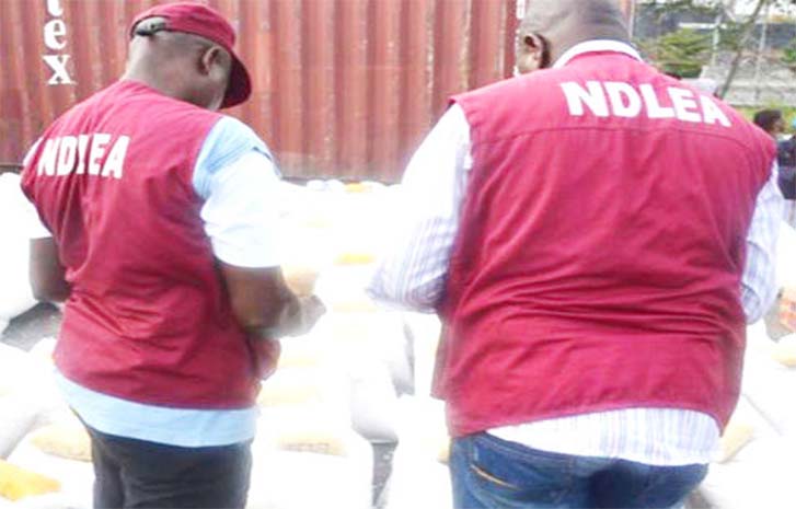 NDLEA-officials