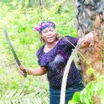 Ngozi