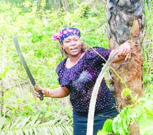 Ngozi