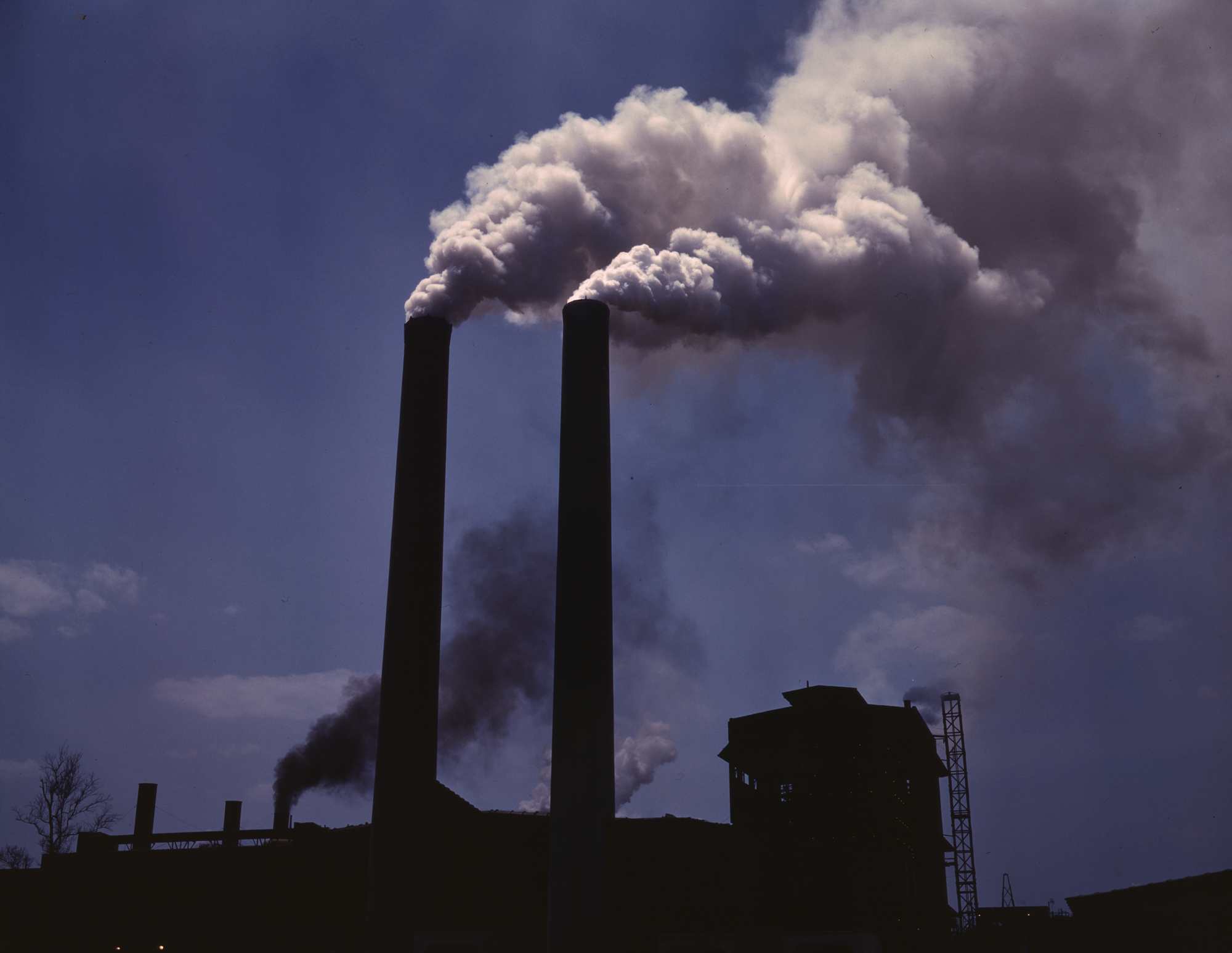 polluted