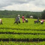 agricultural-sector-560×350