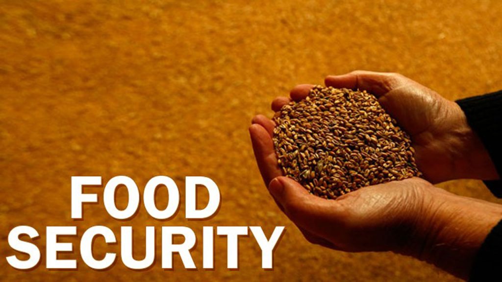 FOOD INSECURITY
