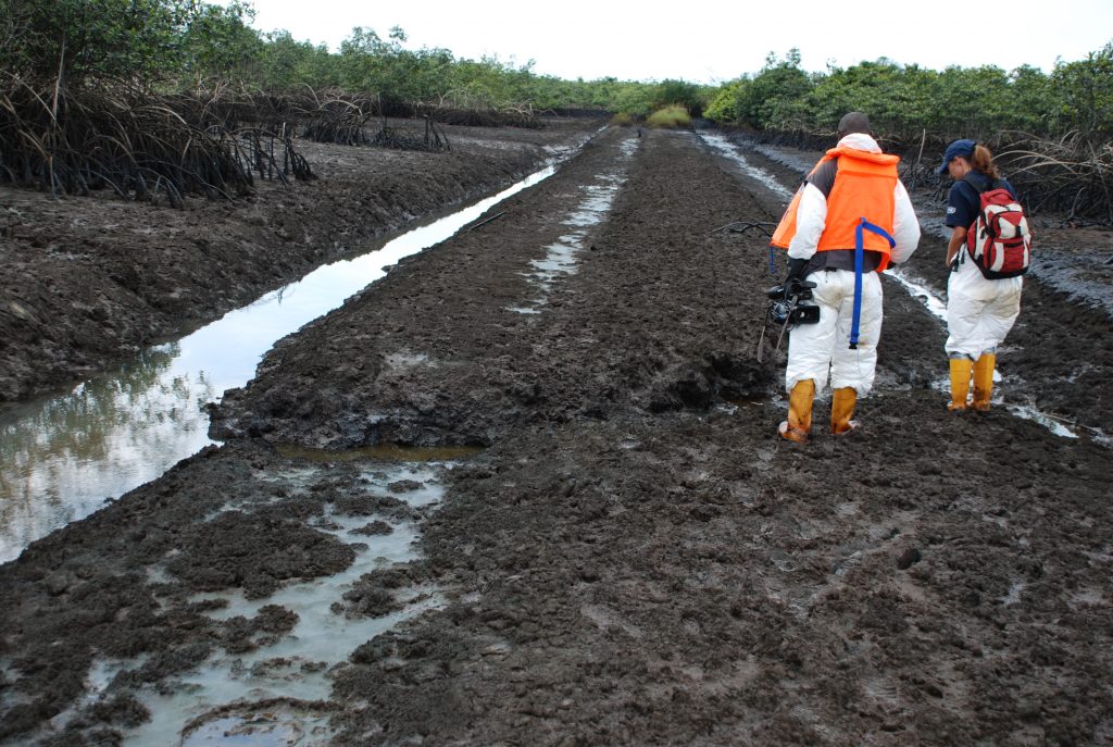 OGONILAND – OGONI CLEANUP PROJECT