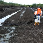 OGONILAND – OGONI CLEANUP PROJECT