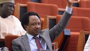 SHEHU SANI