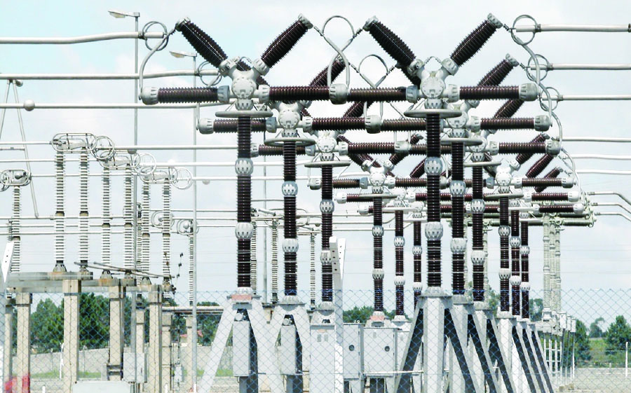 Poer plant