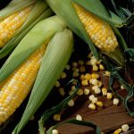 Fresh Corn Wallpapers 7