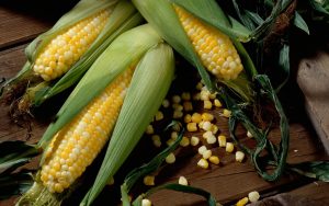 Fresh Corn Wallpapers 7