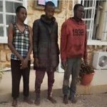 suspects-plateau-1