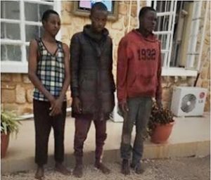 suspects-plateau-1