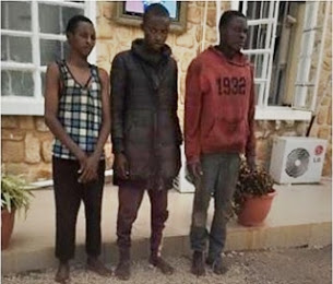 suspects-plateau-1