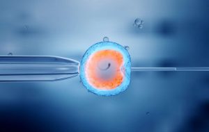 IVF