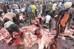 Abattoir