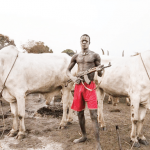 Armed-herdsmen-2