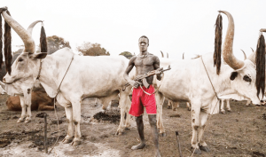 Armed-herdsmen-2
