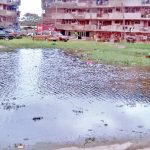 ENVIRONMENTAL DEGRADATION
