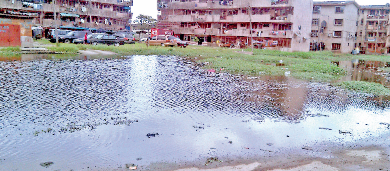 ENVIRONMENTAL DEGRADATION