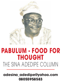 SINA ADDIPE COLUMN