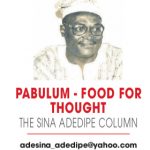 SINA ADEDIPE COLUMN