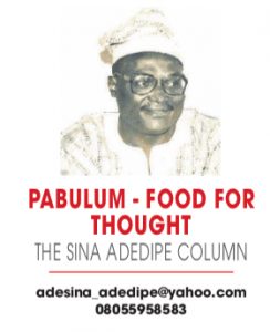 SINA ADEDIPE COLUMN
