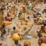 ARGUNGU FISHING FESTIVAL