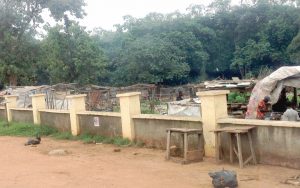 ABUJA EVIL FOREST