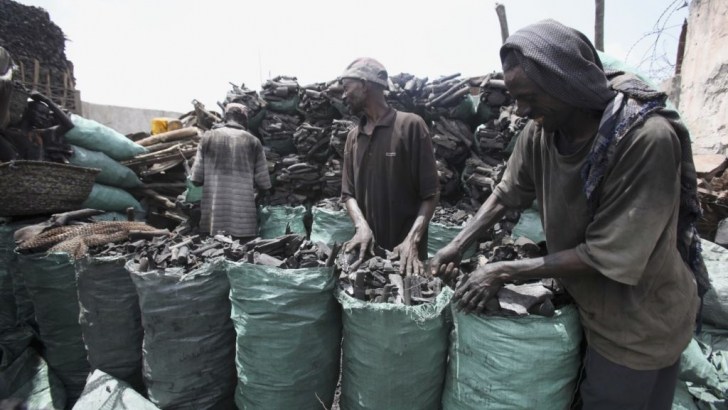 Charcoal-sellers-in-Nigeria