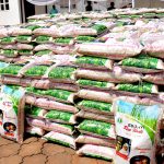 EBONYI RICE
