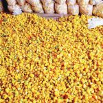 Yellow Pepper