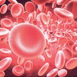 blood