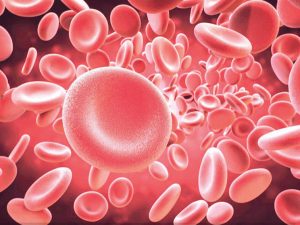 blood