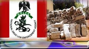 NDLEA