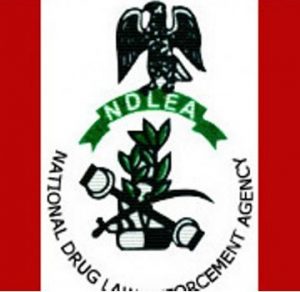 ndlea-360×350