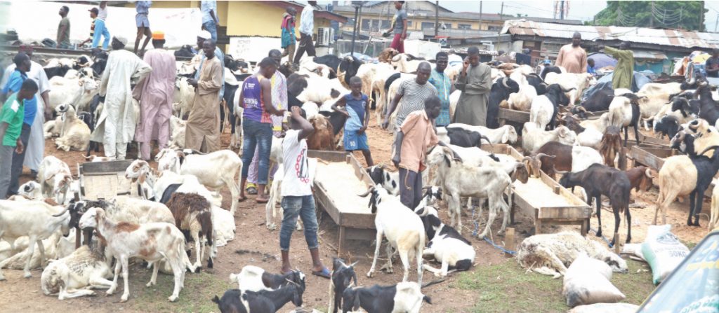 ram market