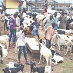 ram market