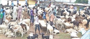 ram market