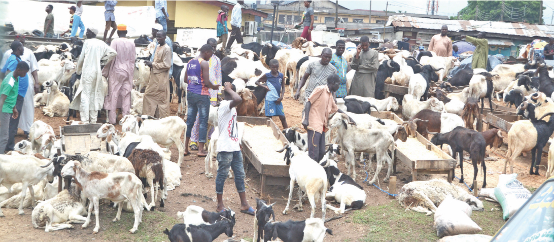 ram market