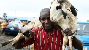 sallah ram