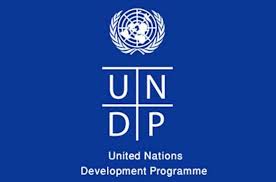undp1